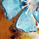 Illustration for article titled Shooting Challenge: Bugs Gallery (Part 1)